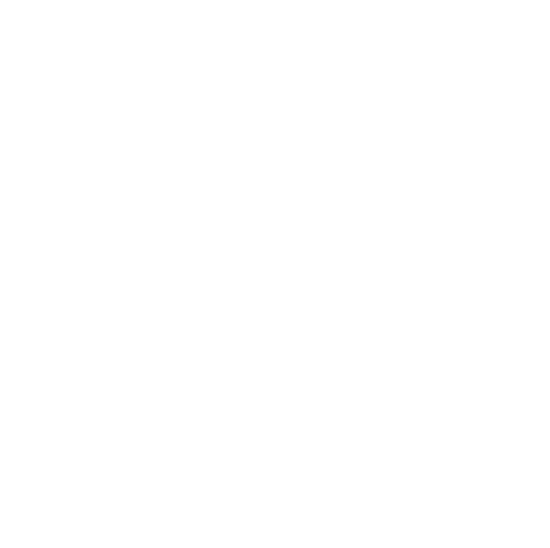 Fronius System Partner